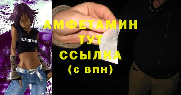МДПВ Богородск