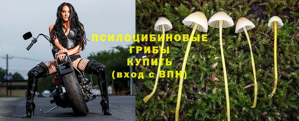 МДПВ Богородск