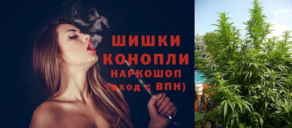шишки Богданович